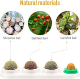 KUTKUT 4 Sphere Catnip Toy Cat Hairball Treat Snacks Cat Dental Treats Cat Ball Toy Sugar Kitten Snack Cat Digestion Promoter Cleaning Toys Teething Cat Nip Balls Silvervine Catnip Balls